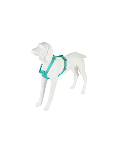 Freedog Saferide türkiissinised turvatraksid koerale M 25mm x 43/58cm