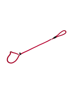 Freedog punane kaelarihm-jalutusrihm koerale 13mm x 120cm