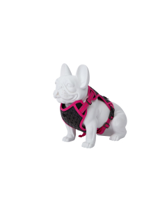 Freedog Boreal fuksiaroosad traksid koerale 15mm 34-63cm