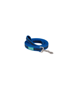 Freedog XL sinine nailonist jalutusrihm 20mm x