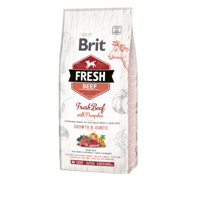Brit Fresh Beef & Pumpkin Puppy Large Bones & Joints koeratoit 12 kg