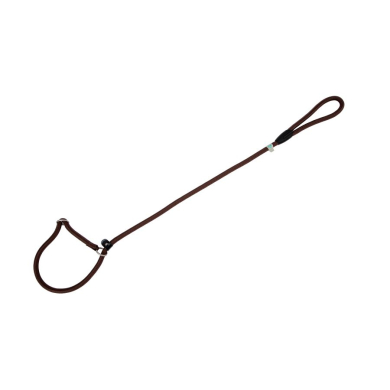 Freedog pruun kaelarihm-jalutusrihm koerale 8mm x 120cm