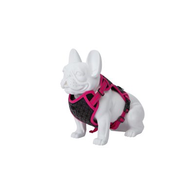 Freedog Boreal fuksiaroosad traksid koerale 20mm 38-75cm