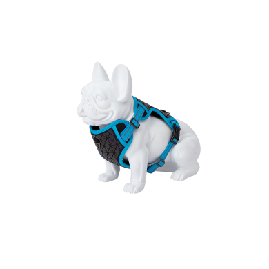 Freedog Boreal kaprisinised traksid koerale 15mm 34-63cm