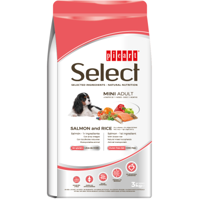 Select Mini Adult Salmon And Rice koeratoit