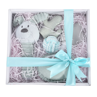 Barry King sinine kingitusekomplekt koerale 5in1