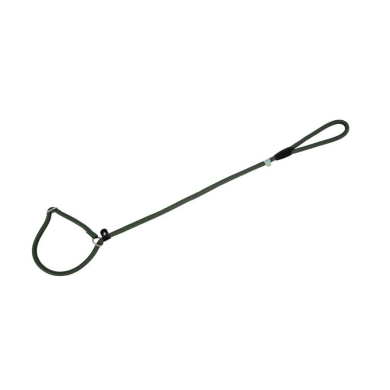 Freedog roheline kaelarihm-jalutusrihm koerale 8mm x 120cm