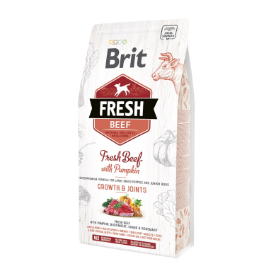 Brit Fresh Beef & Pumpkin Puppy Large Bones & Joints koeratoit