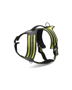 Record traksid koerale 90/125cm XL kollane