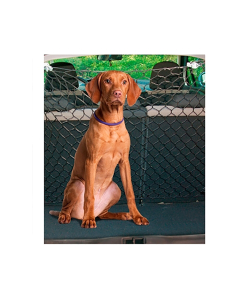 Freedog turvavõrk autosse 140x120cm