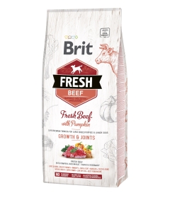 Brit Fresh Beef & Pumpkin Puppy Large Bones & Joints koeratoit 12 kg