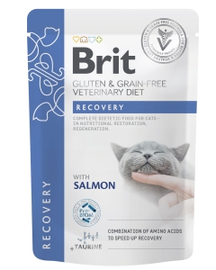 Brit Veterinary Diet Recovery märgtoit kassidele 85g