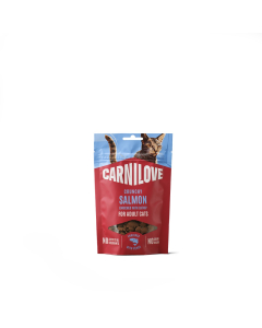 Carnilove Salmon with Catnip maiused kassidele 50g