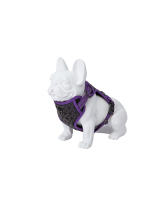 Freedog Boreal sirelilillad traksid koerale 20mm 38-75cm