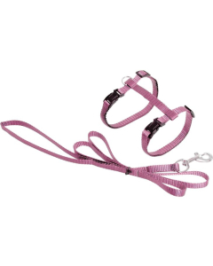 Flamingo roosad traksid rihmaga kassile