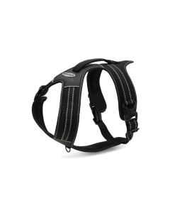 Record traksid koerale 90/125cm XL must