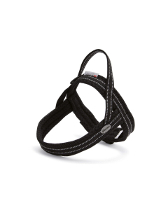 Record Dolomiti traksid koerale XXS must