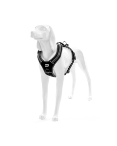 Record mustad traksid koerale 60-72cm M