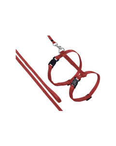 Flamingo punased traksid rihmaga kassile