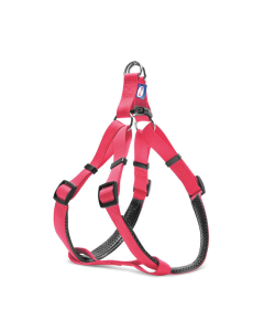 Record roosat värvi nailonist traksid koertele S