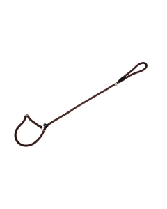 Freedog pruun kaelarihm-jalutusrihm koerale 13mm x 120cm