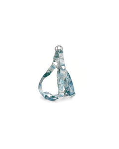 Record Eco traksid koerale S 30-40cm