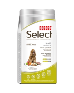 Select Adult Sensitive Lamb and Rice koeratoit